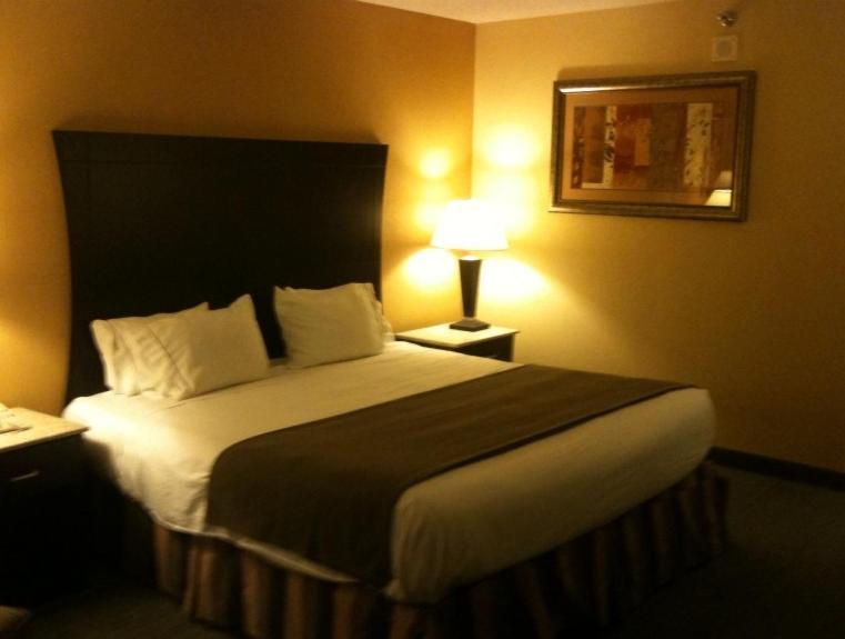 Hotel Indigo Rochester - Mayo Clinic Area Kamer foto